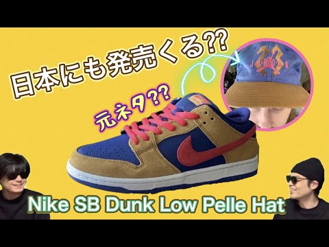 sb dunk pelle hat