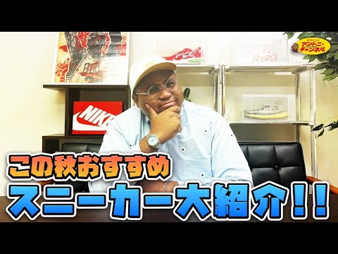 それいけ!アントニーチャンネル｜秋スニーカーおすすめ10選大紹介!!