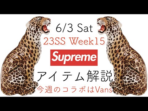 Supreme Vans｜シュプリーム ヴァンズ｜23SS Week15